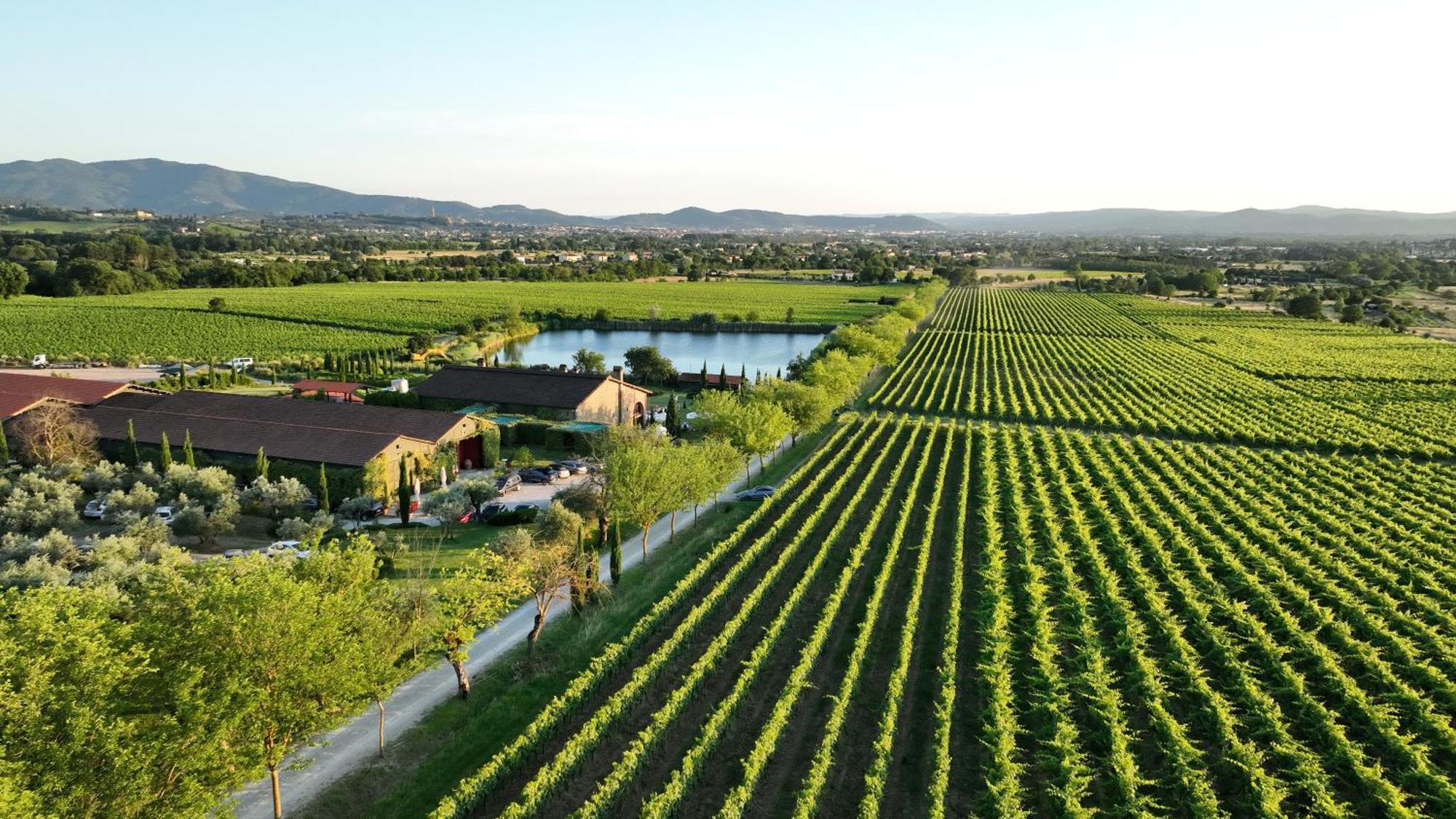 Il Palazzo - Agriturismo, Winery Arezzo Zewnętrze zdjęcie