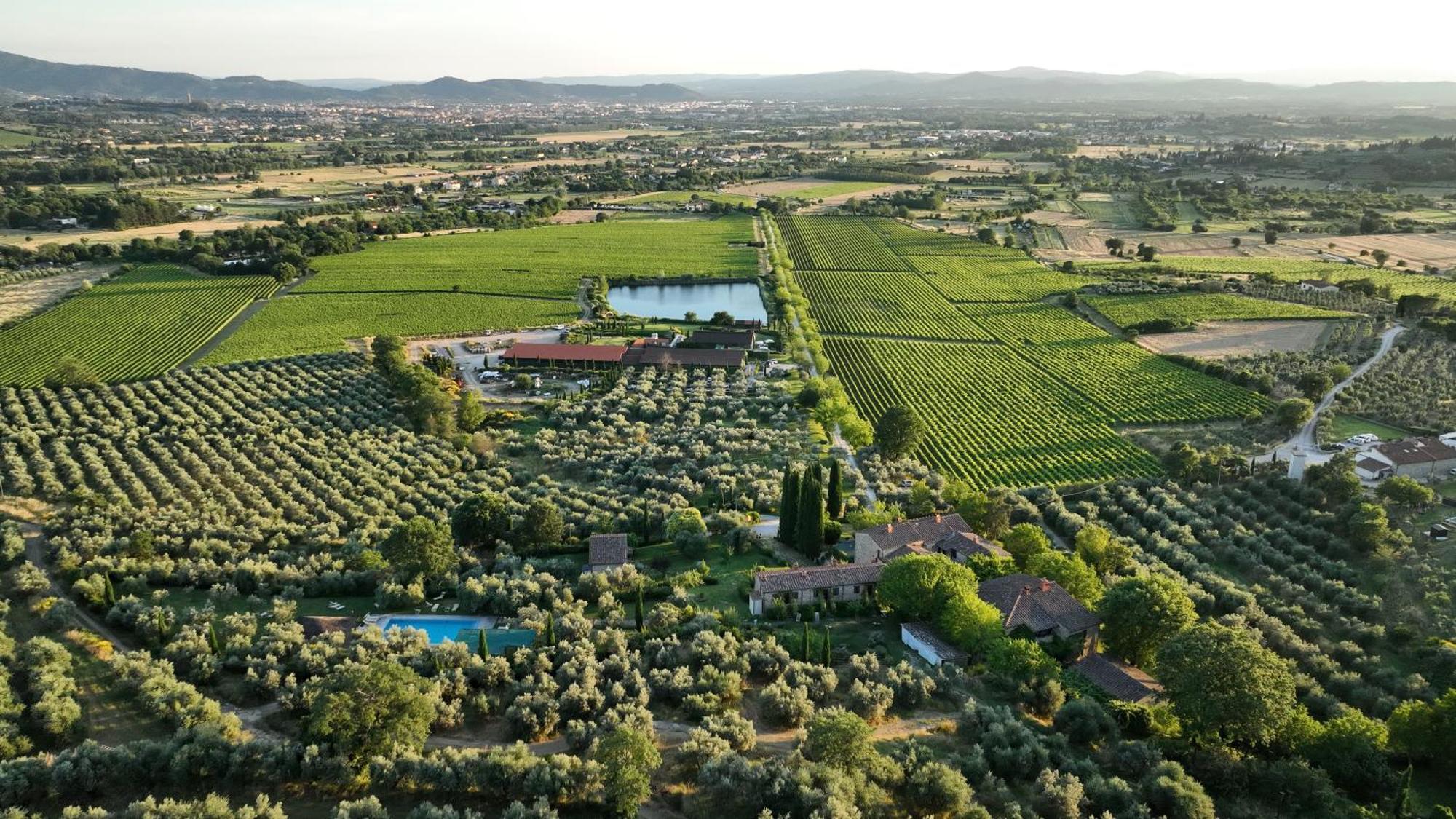 Il Palazzo - Agriturismo, Winery Arezzo Zewnętrze zdjęcie